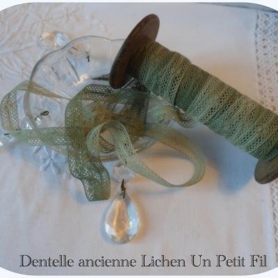 Dentelle ancienne entre deux lichen 1