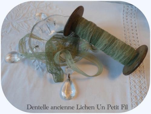 Dentelle ancienne entre deux lichen 1