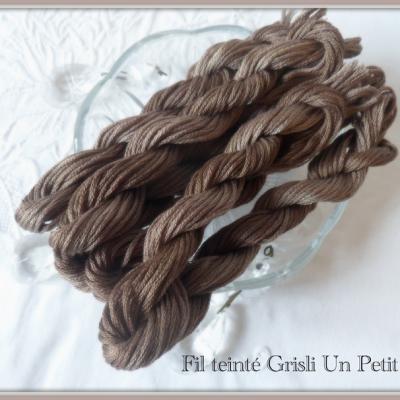 Fils grisli un petit fil 1