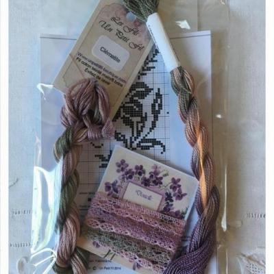 Lot decouverte clematite un petit fil