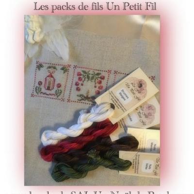 Pack Un Noël de Brodeuses 6 fils pour toile 16 fils