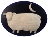Sheep at night