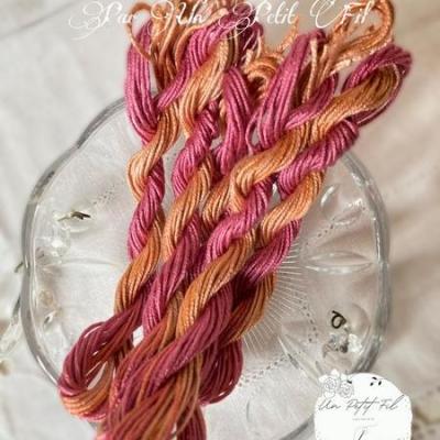 Soie d alger orange sanguine