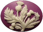 Thistle